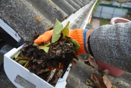 Gutter Cleaning